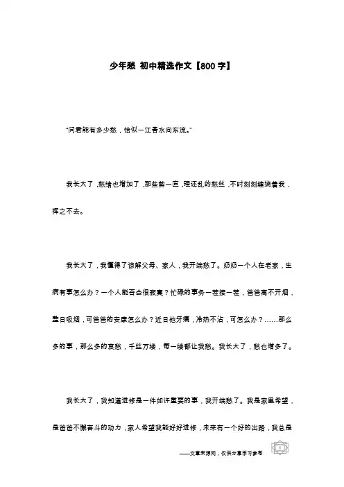 少年愁 初中精选作文【800字】