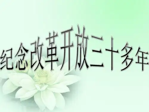 毛概课邓小平改革三十年