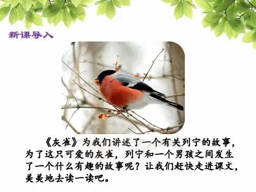 部编版三年级上册语文灰雀课件.pptx