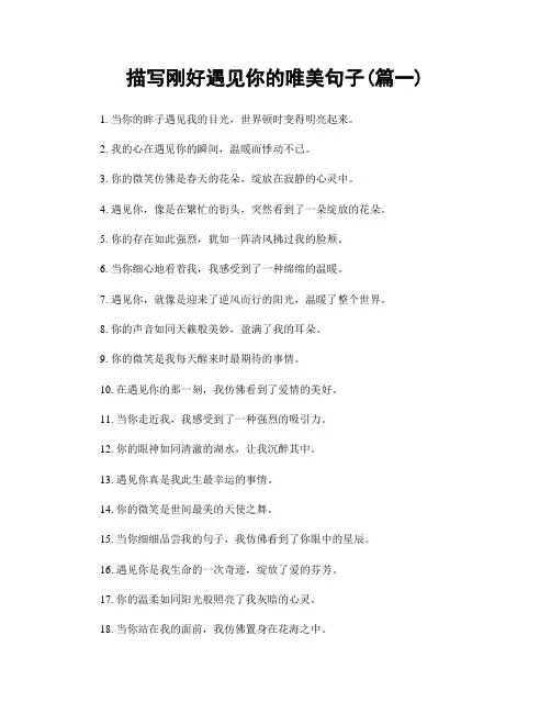 描写刚好遇见你的唯美句子(精选合集2篇)