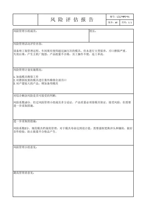 风险评估报告