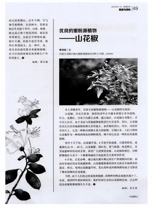 优良的蜜粉源植物——山花椒