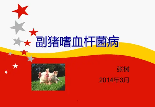《副猪嗜血杆菌》PPT课件