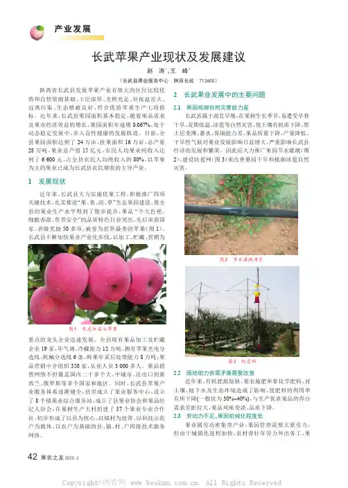 长武苹果产业现状及发展建议