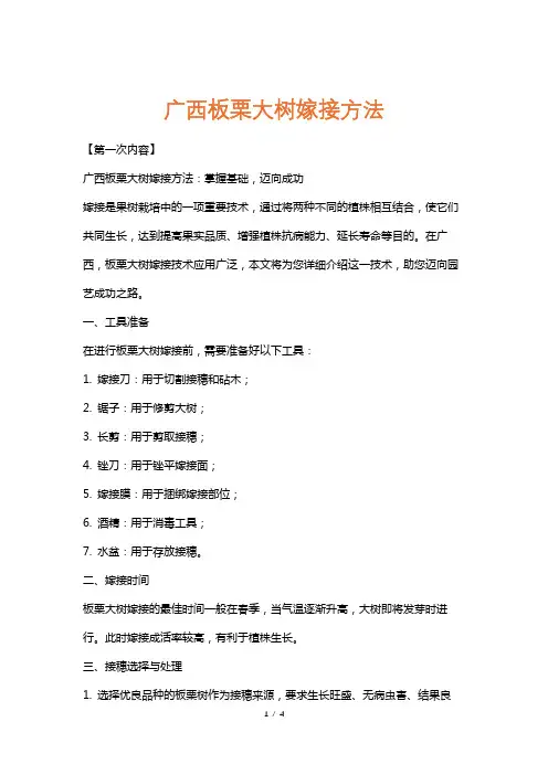 广西板栗大树嫁接方法