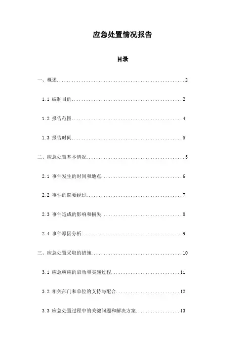 应急处置情况报告