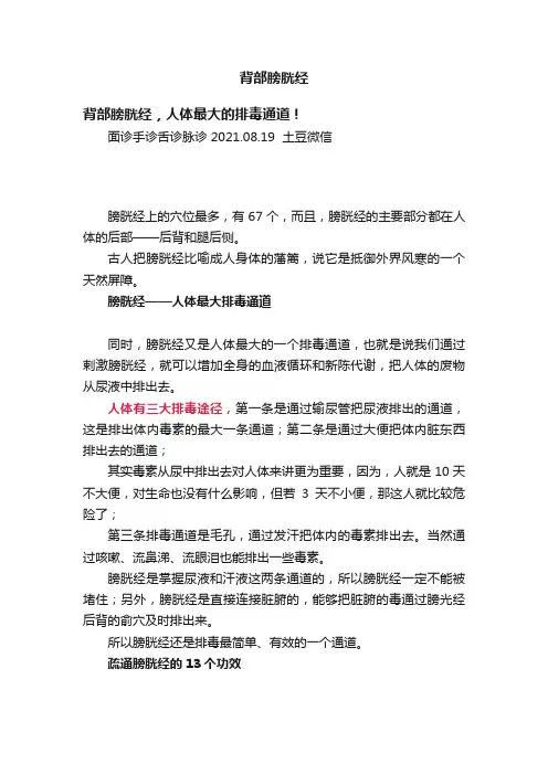 背部膀胱经