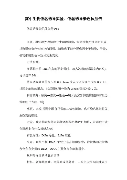 高中生物低温诱导实验：低温诱导染色体加倍