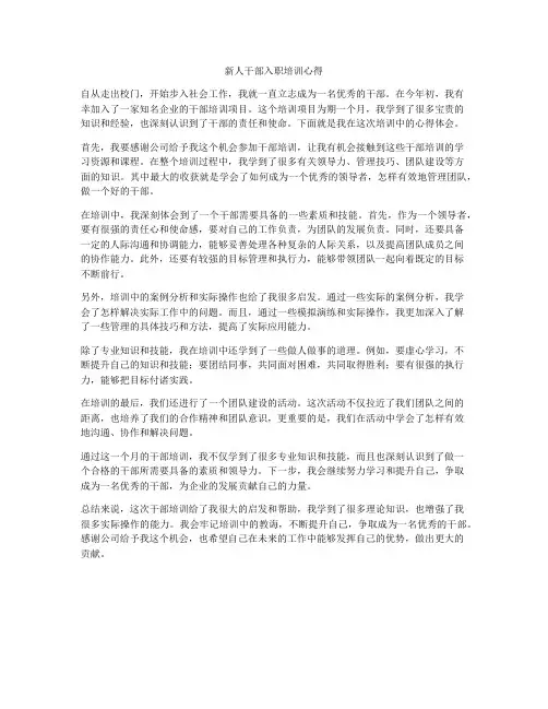 新人干部入职培训心得