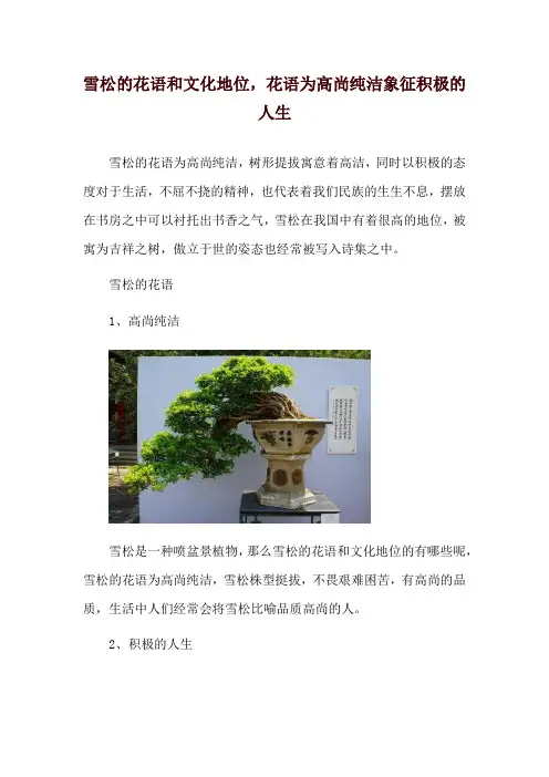 雪松的花语和文化地位,花语为高尚纯洁象征积极的人生