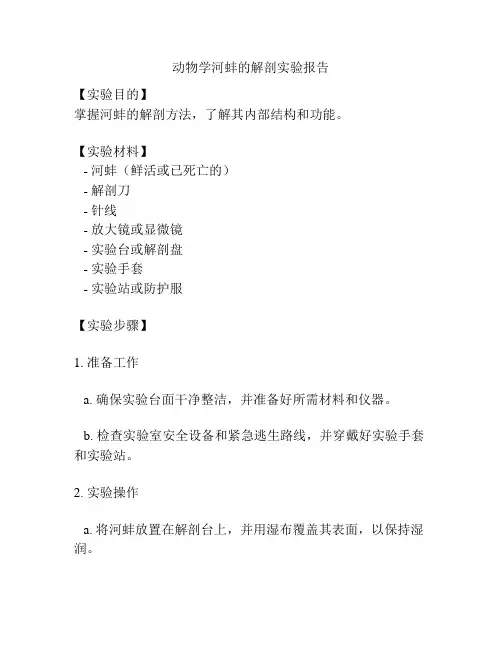 动物学河蚌的解剖实验报告