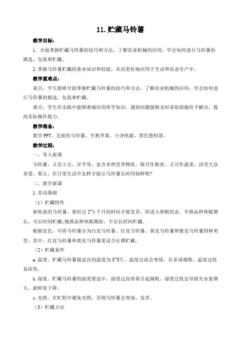贮藏马铃薯(教案)小学劳动六年级上册(人教版)