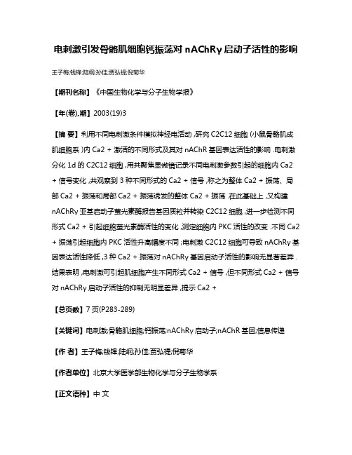 电刺激引发骨骼肌细胞钙振荡对nAChRγ启动子活性的影响