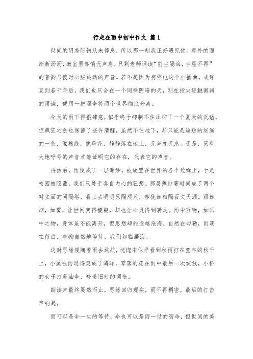 行走在风雨中作文700字初中