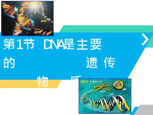 人教版新教材《DNA是主要的遗传物质》课件