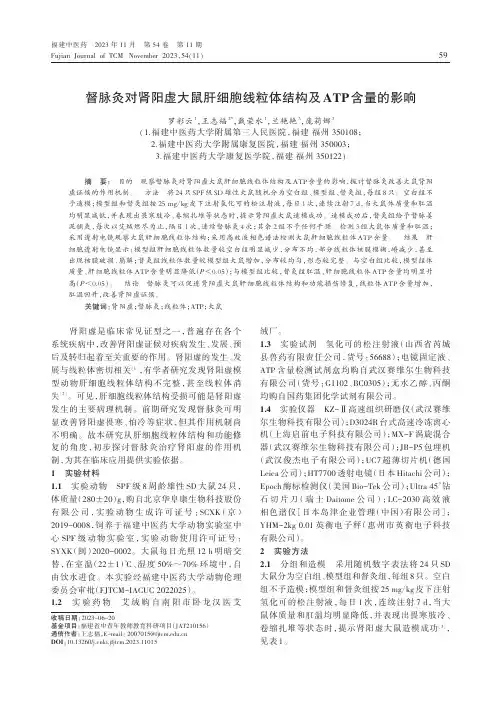 督脉灸对肾阳虚大鼠肝细胞线粒体结构及ATP_含量的影响