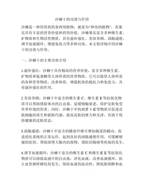 沙棘干的功效与作用