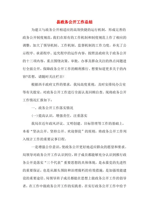 2020年县政务公开工作总结