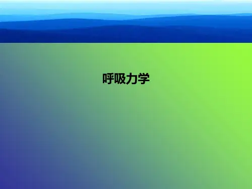 呼吸力学PPT课件