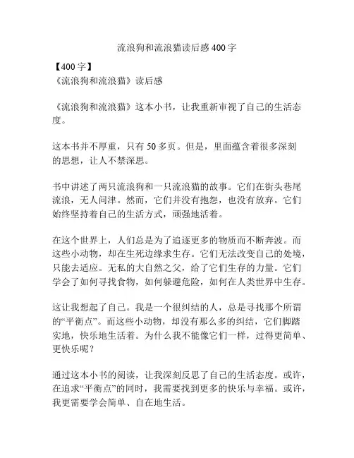 流浪狗和流浪猫读后感400字