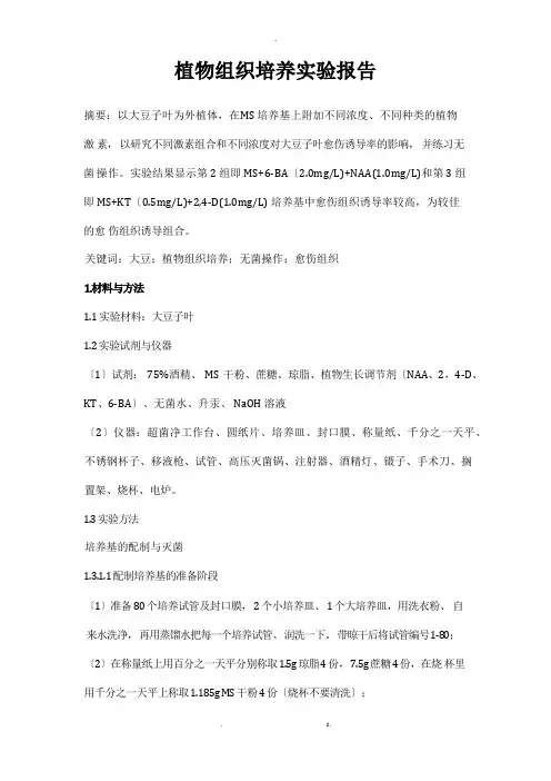 植物组织培养实验报告