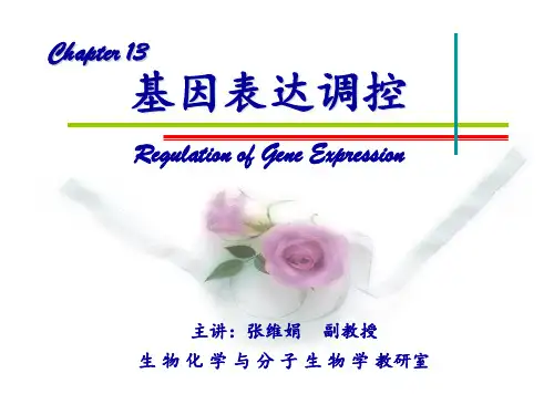 基因表达调控RegulationofGeneExpression应用分析PPT课件