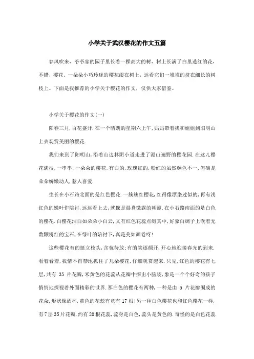 小学关于武汉樱花的作文五篇