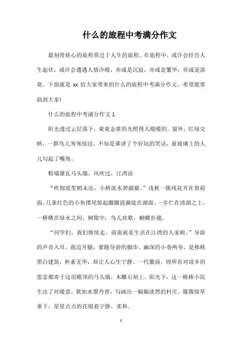 什么的旅程中考满分作文