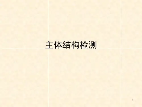 主体结构检测(课堂PPT)