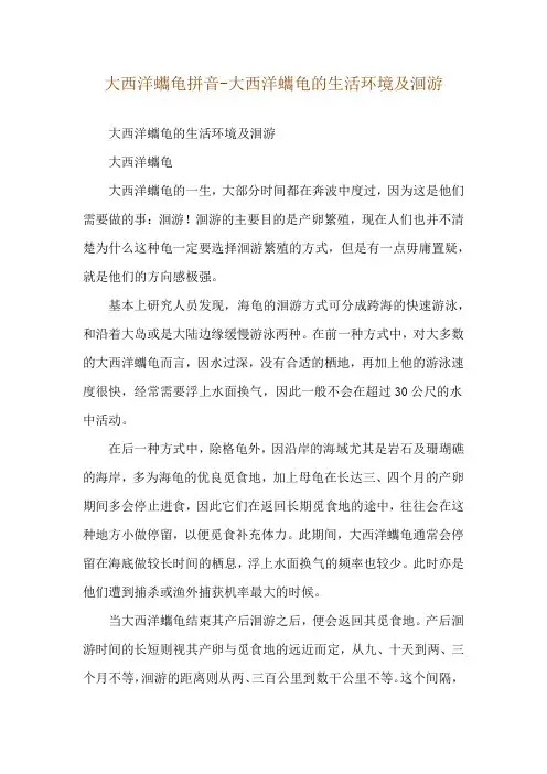 大西洋蠵龟拼音-大西洋蠵龟的生活环境及洄游