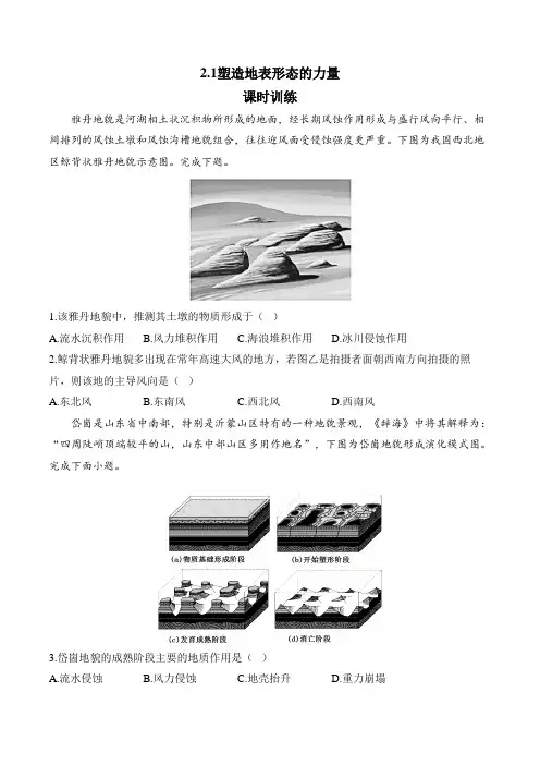 塑造地表形态的力量课时训练 2024-2025学年高二地理人教版(2019)选择性必修一