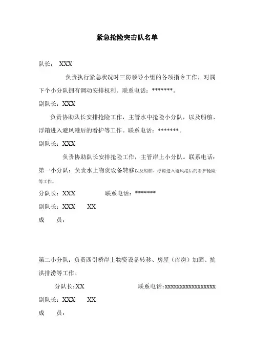 紧急抢险突击队名单word范本