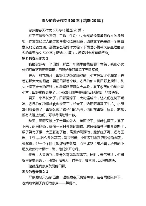 家乡的春天作文500字（精选20篇）