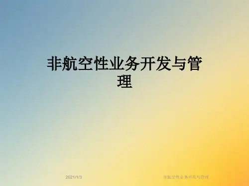非航空性业务开发与管理