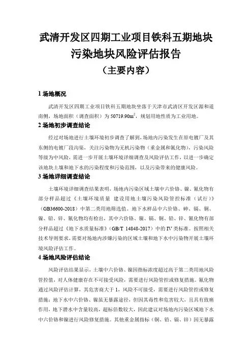 污染地块风险评价报告