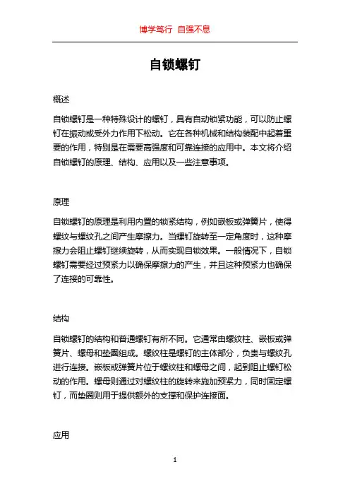 自锁螺钉_精品文档
