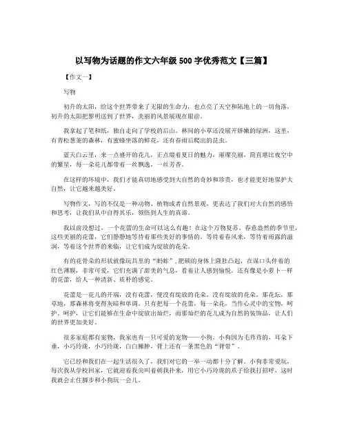 以写物为话题的作文六年级500字优秀范文【三篇】