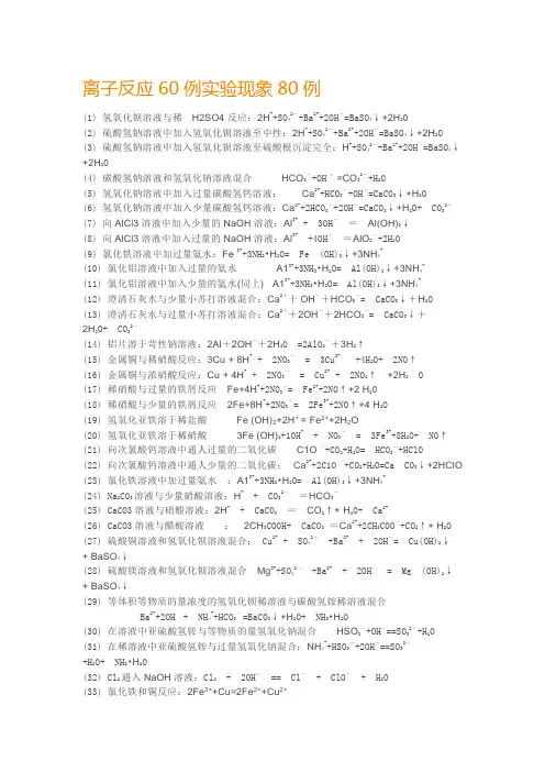 离子反应60例实验现象80例
