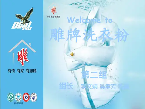 雕牌洗衣粉的简介