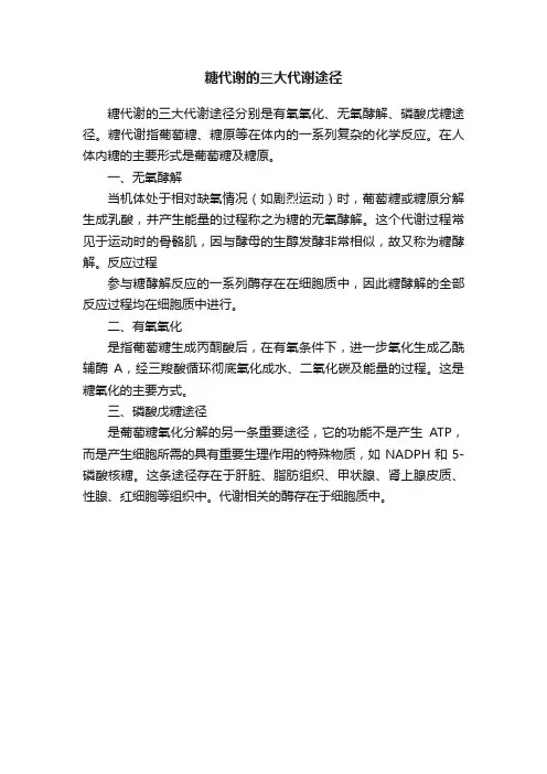 糖代谢的三大代谢途径