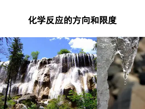 化学反应限度(化学平衡状态和平衡常数}