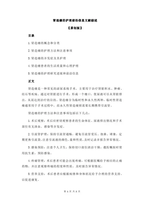 肾造瘘的护理前沿信息文献综述