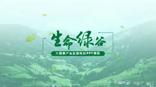 大健康产业发展规划汇报PPT模板