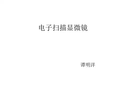 扫描电子显微镜