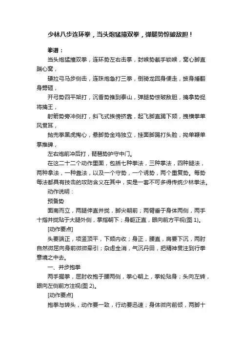 少林八步连环拳，当头炮猛撞双拳，弹腿势惊破敌胆！