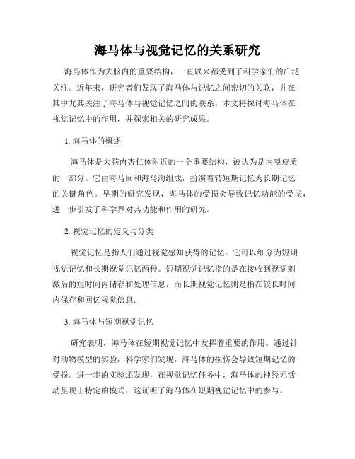 海马体与视觉记忆的关系研究
