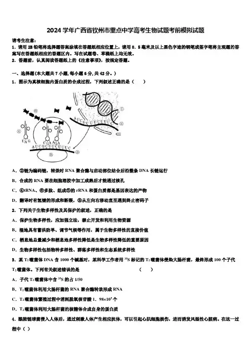 2024学年广西省钦州市重点中学高考生物试题考前模拟试题含解析