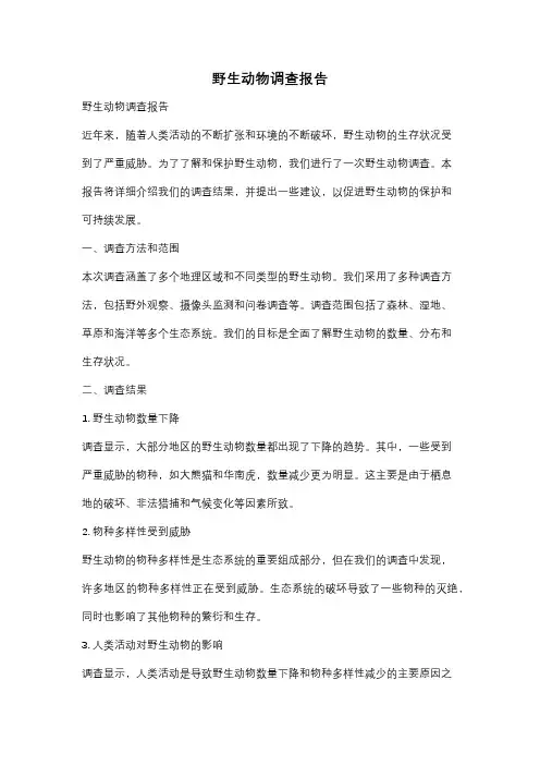 野生动物调查报告