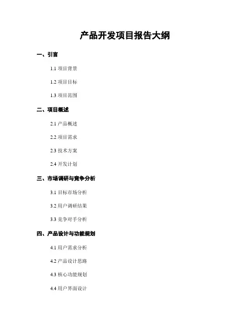 产品开发项目报告大纲