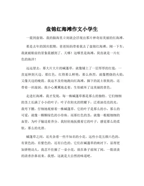盘锦红海滩作文小学生